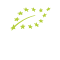 Certificat Certisys BE-BIO-01
